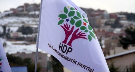 HDP'li vekilin görevi dağ kadrosuna eleman aktarmak çıktı