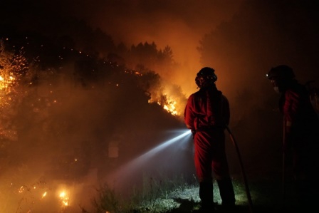 İspanya'da orman yangını: 8 bin hektarlık alan kül oldu