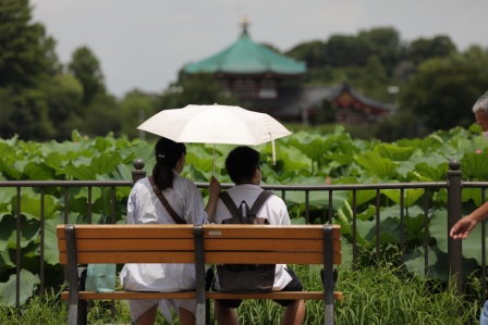 Japonya'da termometreler 39.5 dereceyi gösterdi