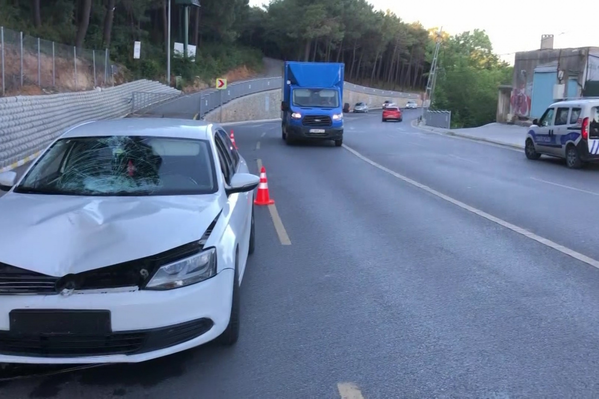 Kartal'da yolun karşısına geçmeye çalışan kadına araba çarptı