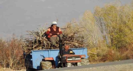 Köylerde kışlık odun hazırlığı