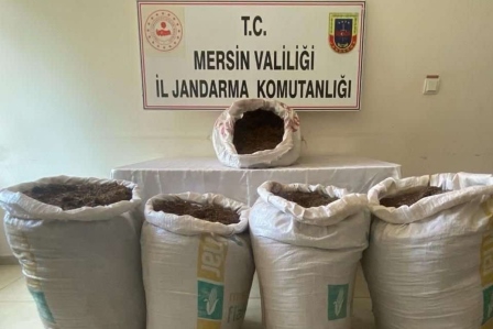 Mersin'de 350 kilogram kaçak tütün ele geçirildi