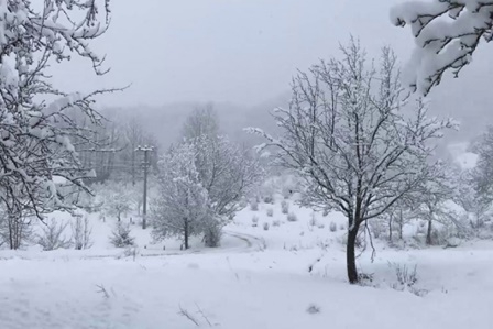 Meteoroloji uyarmıştı, kar yağışları etkisini gösterdi! Türkiye beyaza büründü