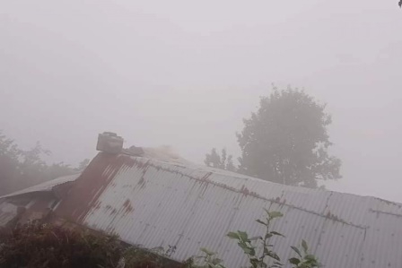 Ordu'da ahşap kulübe çatısında erkek cesedi bulundu