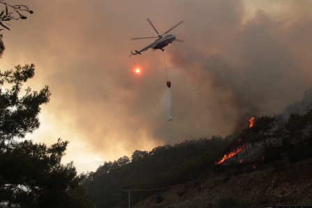 Orman yangınlarına karşı bir dizi tedbir kararları alındı