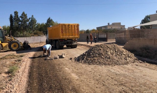 Şanlıurfa'da bir garip olay