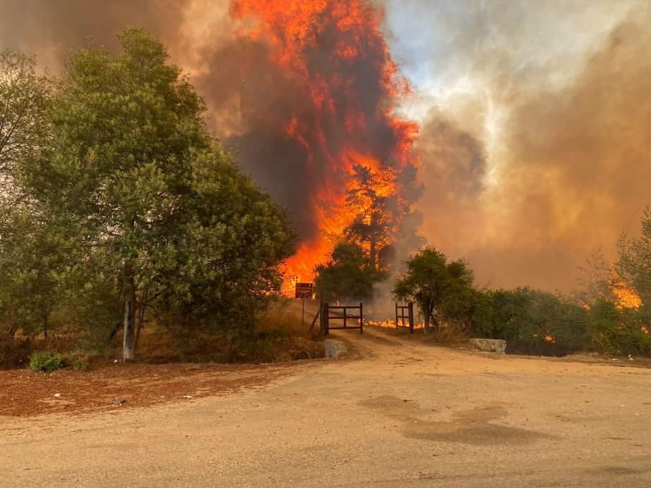 Şili’deki orman yangınlarında 10 kişi öldü, OHAL ilan edildi