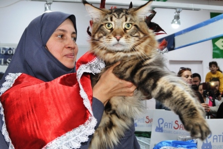 Türkiye'nin en büyük pet fuarı Eylül'de Ankara'da başlayacak